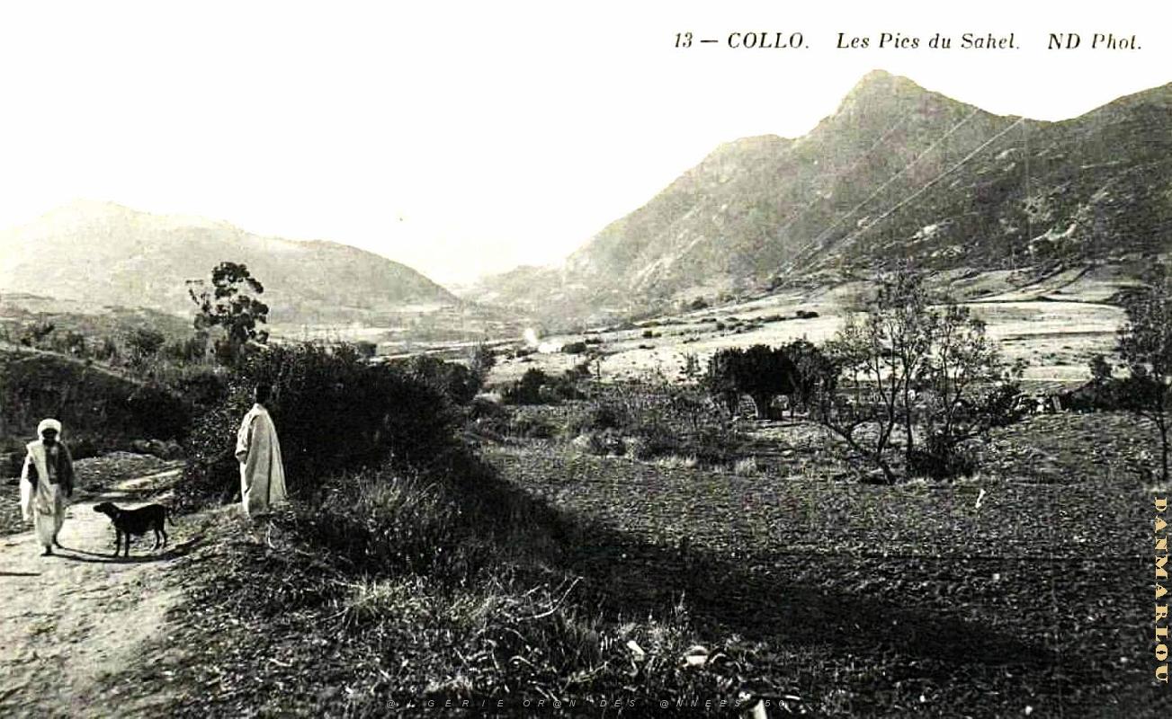 Collo - Pics du Sahel.jpg